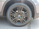 Thumbnail image of 2022 Honda Pilot at Hamilton Honda