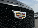 Thumbnail image of 2023 Cadillac Escalade at Lasco Ford