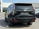Thumbnail image of 2023 Cadillac Escalade at Lasco Ford
