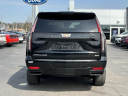 Thumbnail image of 2023 Cadillac Escalade at Lasco Ford