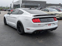 Thumbnail image of 2020 Ford Mustang at YankeeFordSales NEW