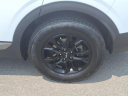 Thumbnail image of 2023 Kia Sportage at Roberts Ford - Used