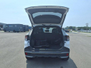 Thumbnail image of 2023 Kia Sportage at Roberts Ford - Used