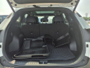 Thumbnail image of 2023 Kia Sportage at Roberts Ford - Used