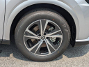 Thumbnail image of 2025 Lexus RX 350 at Hilton Head Lexus