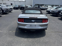 Thumbnail image of 2023 Ford Mustang at Antwerpen VW - USED