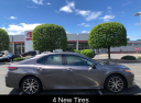 Thumbnail image of 2022 Toyota Camry Hybrid at Lia Toyota