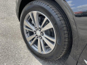 Thumbnail image of 2025 Cadillac XT5 at HeywardAllenMotorCoInc Used