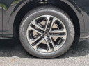Thumbnail image of 2025 Audi Q5 at AudiGainesville-New of Gainsville, FL