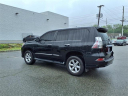 Thumbnail image of 2019 Lexus GX 460 at Tri-County Lexus