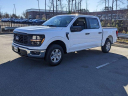 Thumbnail image of 2025 Ford F-150 at CrossroadsFord of Apex - NEW