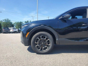Thumbnail image of 2022 Hyundai SANTA CRUZ at JT's Chrysler Jeep Dodge (new)