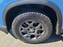 Thumbnail image of 2025 Honda Pilot at The New Babylon Honda