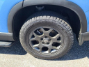 Thumbnail image of 2025 Honda Pilot at The New Babylon Honda