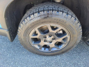 Thumbnail image of 2025 Honda Pilot at The New Babylon Honda
