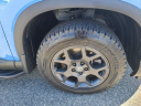 Thumbnail image of 2025 Honda Pilot at The New Babylon Honda