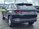 Thumbnail image of 2023 Hyundai TUCSON at Kings Kia
