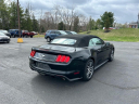 Thumbnail image of 2016 Ford Mustang at Keyser Miller Ford
