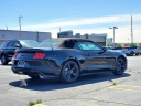 Thumbnail image of 2022 Ford Mustang at Avis Ford