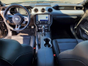 Thumbnail image of 2022 Ford Mustang at Avis Ford