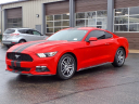 Thumbnail image of 2017 Ford Mustang at White's Ford