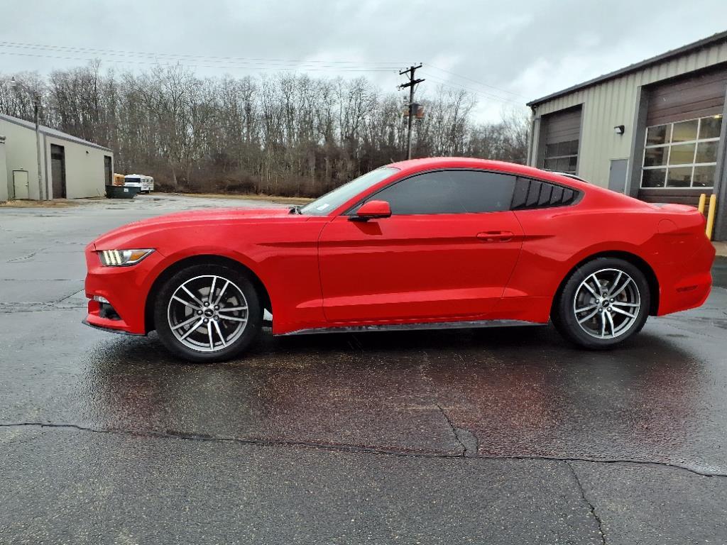 Thumbnail image of 2017 Ford Mustang at White's Ford