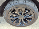 Thumbnail image of 2023 Kia Sorento at Beck And Beck Buick Gmc