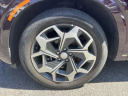Thumbnail image of 2022 Hyundai PALISADE at Nissan of Queens