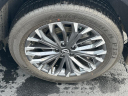 Thumbnail image of 2024 Nissan Rogue at Grainger Nissan Of Anderson