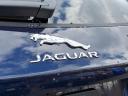 Thumbnail image of 2025 Jaguar F-PACE at Piazza Jaguar Land Rover Willow Grove