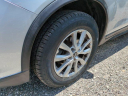 Thumbnail image of 2020 Nissan Rogue at Wesley Chapel Nissan