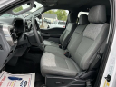 Thumbnail image of 2023 Ford F-150 at Lasco Ford
