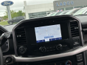 Thumbnail image of 2023 Ford F-150 at Lasco Ford