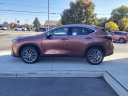 Thumbnail image of 2025 Lexus NX 350 at Lexus Of Toledo