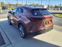 Thumbnail image of 2025 Lexus NX 350 at Lexus Of Toledo