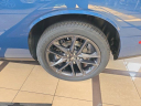 Thumbnail image of 2022 Dodge Challenger at D and P Auto Sales