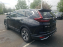 Thumbnail image of 2021 Honda CR-V at Hamilton Honda