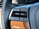 Thumbnail image of 2024 Kia Telluride at KiaMallOfGeorgia of Buford, GA