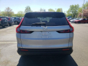 Thumbnail image of 2023 Honda CR-V at Hamilton Honda