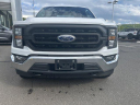 Thumbnail image of 2023 Ford F-150 at GengrasFordLincoln NEW