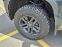 Thumbnail image of 2020 Chevrolet Silverado 1500 at Gorno Ford