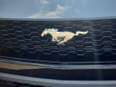 Thumbnail image of 2024 Ford Mustang at Morgan Buick GMC Shreveport - NEW