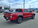 Thumbnail image of 2022 Toyota Tacoma at Janzen Toyota