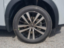 Thumbnail image of 2025 Nissan Pathfinder at Wesley Chapel Nissan