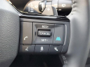 2025 Nissan Rogue Platinum at Grand Blanc Nissan