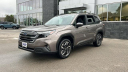 Thumbnail image of 2025 Subaru Forester at Gustman Subaru