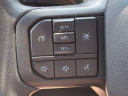 Thumbnail image of 2021 Ford F-150 at SunbeltFordOfAmericus-New of Americus, GA