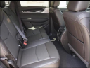 Thumbnail image of 2025 Cadillac XT5 at Ed Morse Cadillac Tampa