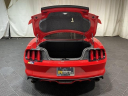 Thumbnail image of 2017 Ford Mustang at Monster Motors