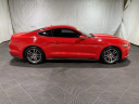 Thumbnail image of 2017 Ford Mustang at Monster Motors